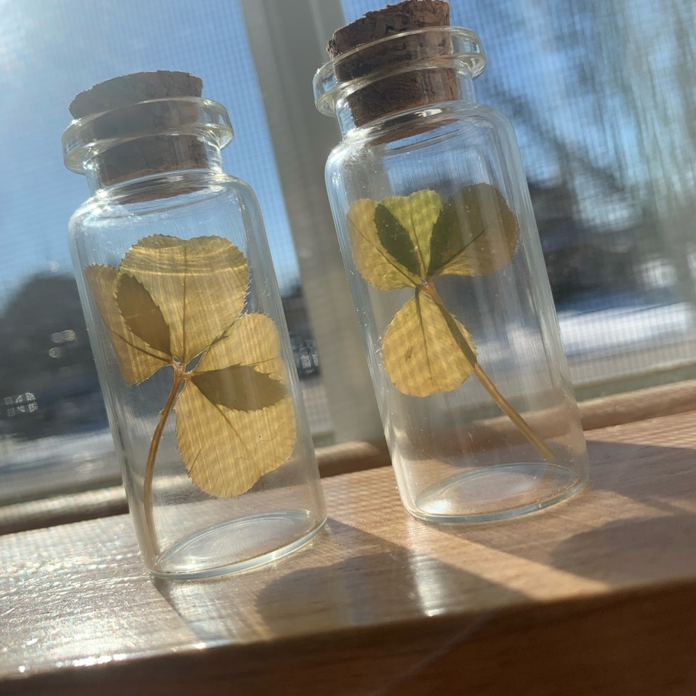 Four Leaf Clovers in a Jar